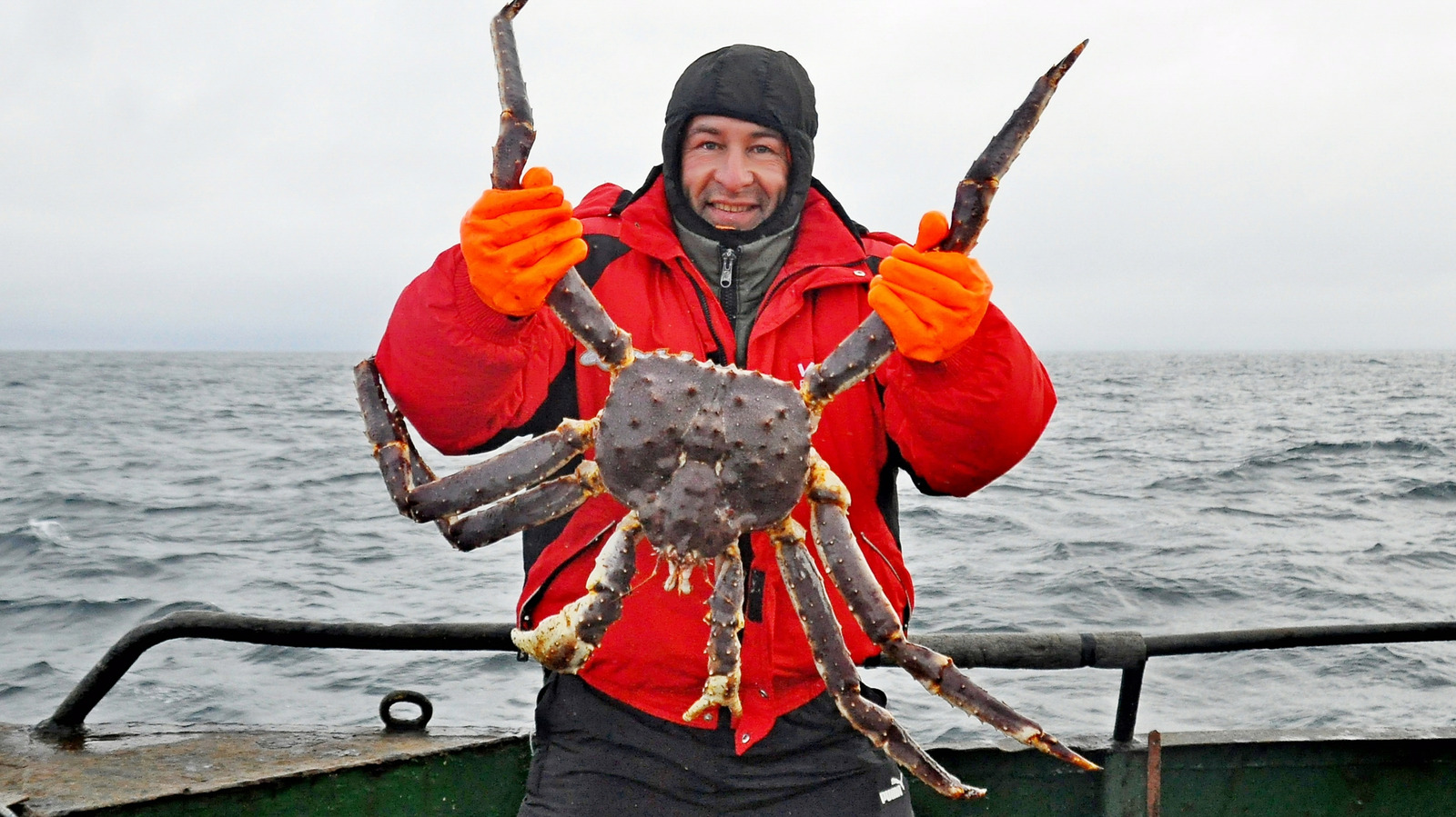Norwegian king crab wholesale supplier trusted by international seafood markets